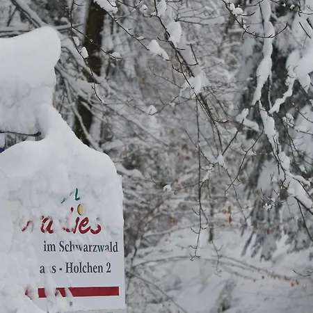 Paradies im Schwarzwald-3